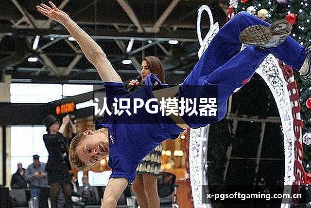 认识PG模拟器